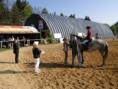 /album/jezdectvi/a03-depoltovice-kone-018-1000-jpg/
